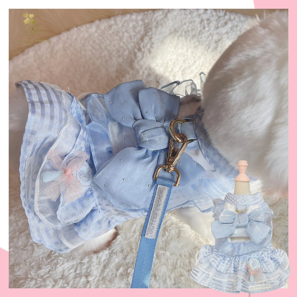 Sweeties Lollipop Harness 胸背帶套裝
