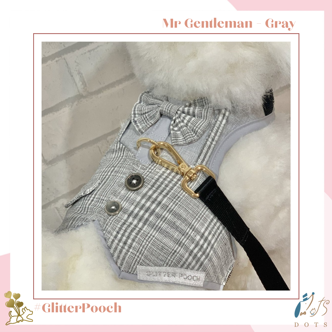 Mr Gentleman Gray Harness