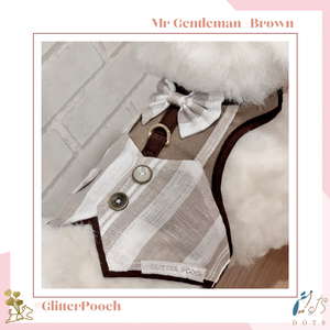 Mr Gentleman Brown Harness