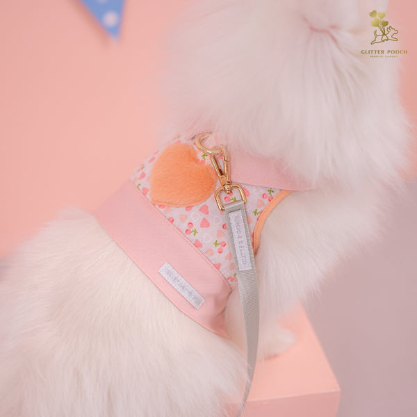 The Febulous Peachy Couple Harness