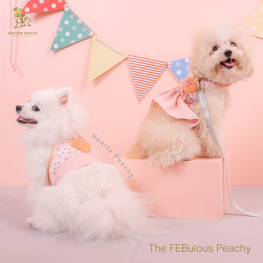 The Febulous Peachy Couple Harness