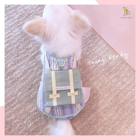 Vacay Ready Boy Harness