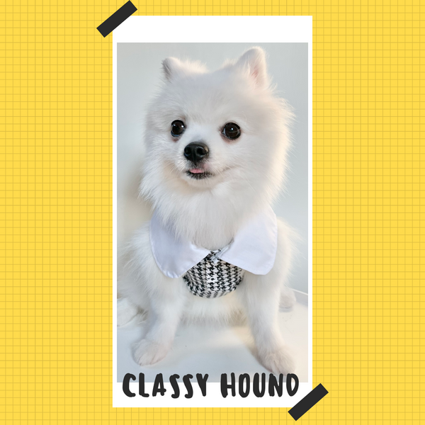 Classy Hound Dress