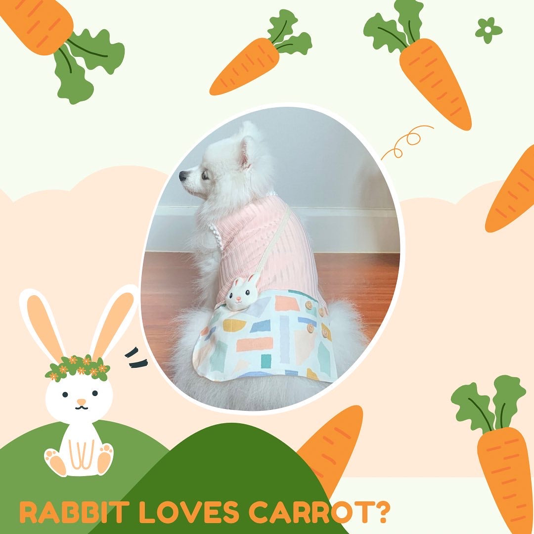 Rabbit Loves Carrot Couple