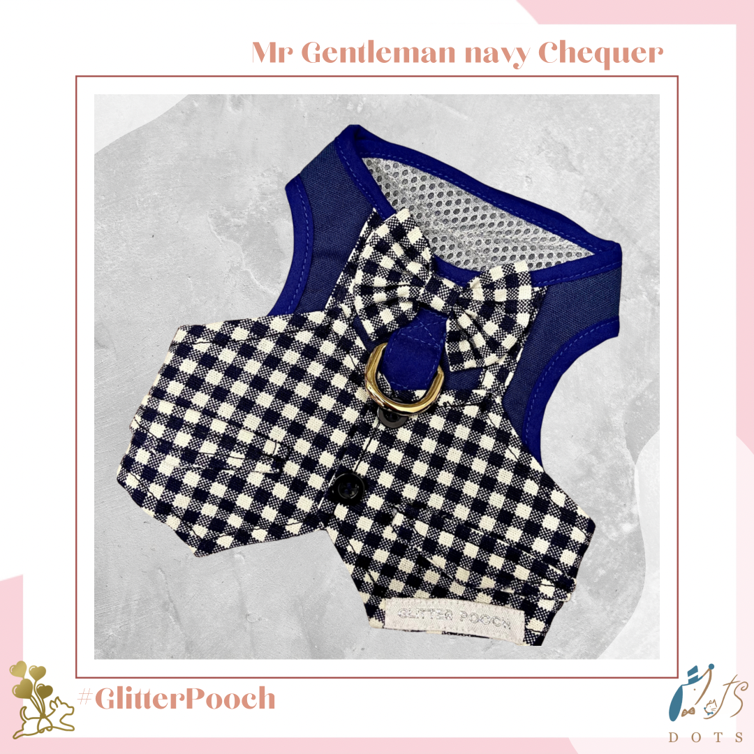 Mr Gentleman Navy Chequer Harness