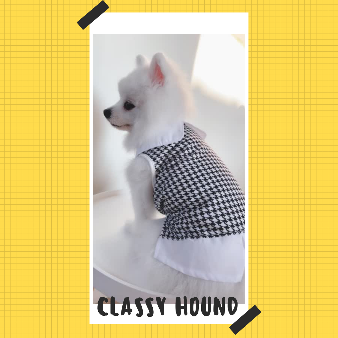 Classy Hound Dress