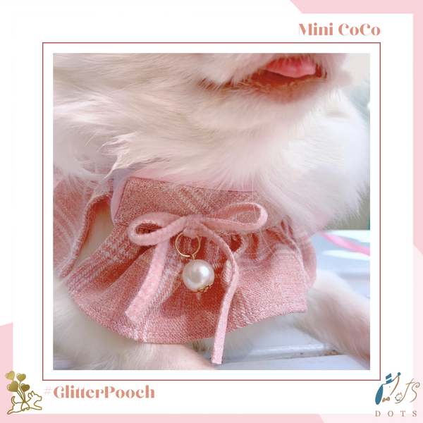 Mini CoCo Harness