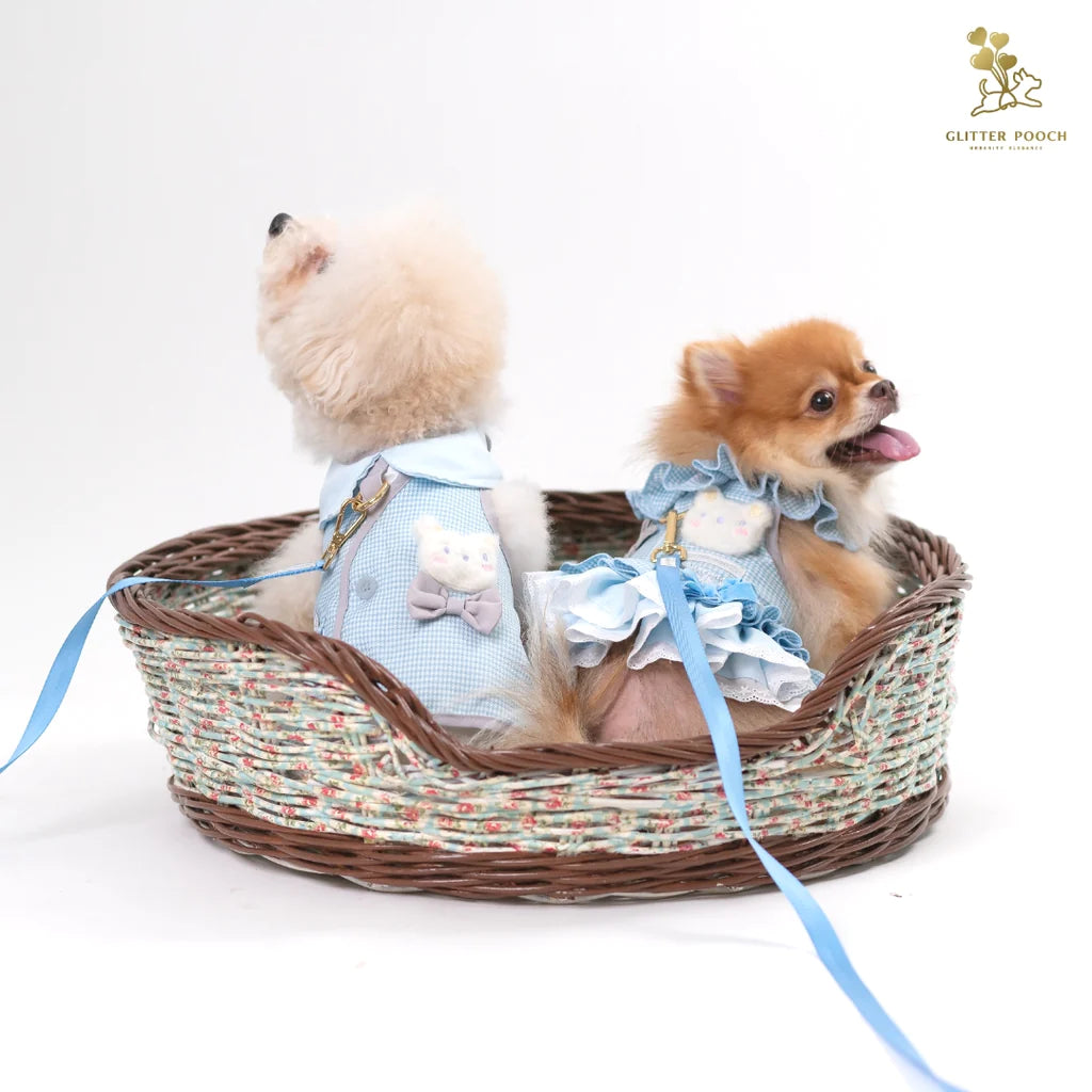 Peekaboo Baby Bear Couple Harness