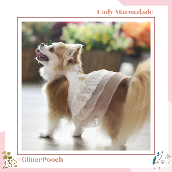 Lady Marmalade Harness