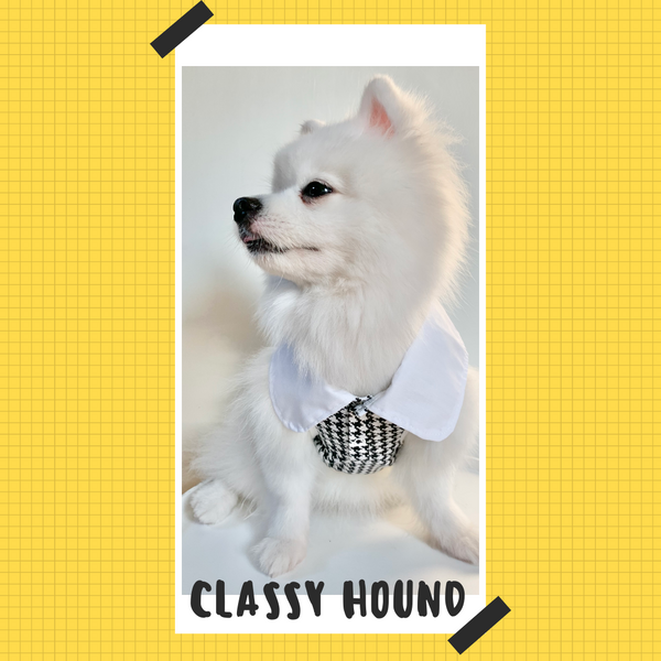 Classy Hound Dress