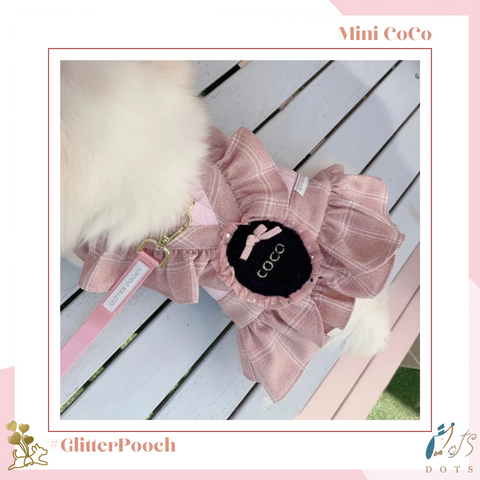 Mini CoCo Harness