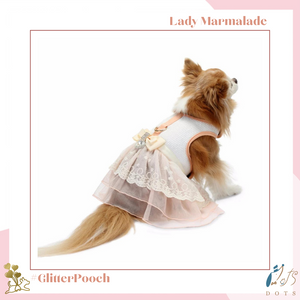 Lady Marmalade Harness