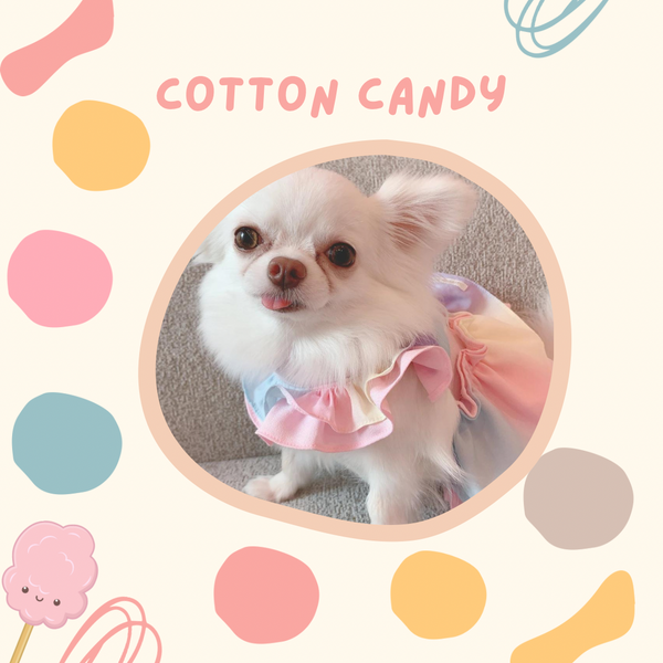 Cotton Candy Harness