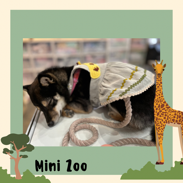 Mini Zoo Dress