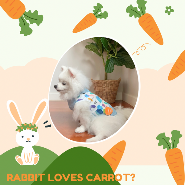 Rabbit Loves Carrot Couple