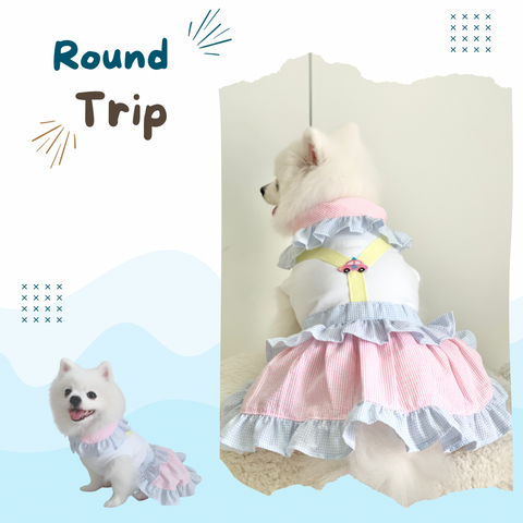 Round Trip Couple