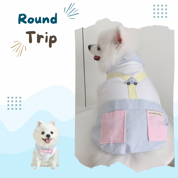 Round Trip Couple