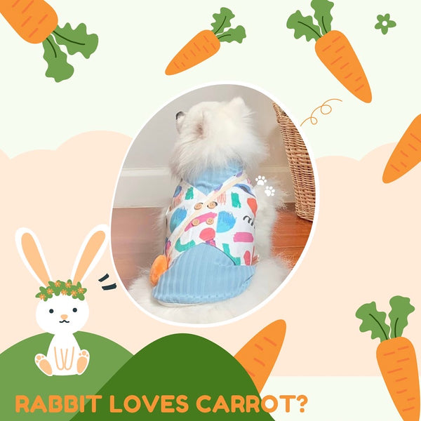 Rabbit Loves Carrot Couple