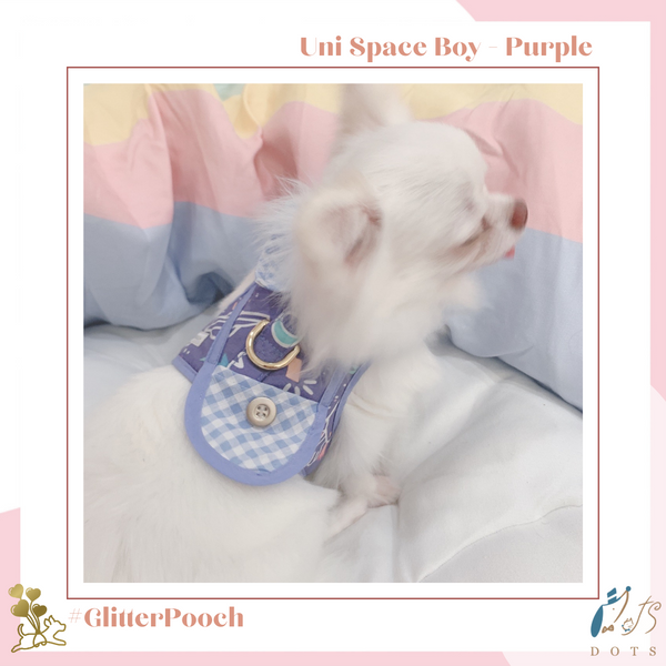 Uni Space Boy Purple Harness