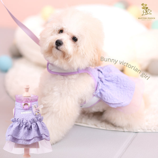 Bunny Victorian Harness